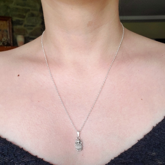 NWOT Silver Howl Necklace - Picture 13 of 14